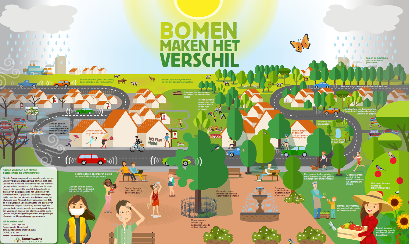 Infographic met de titel 'bomen maken het verschil', waarbij de effecten van bomen op verschillende factoren worden uitgelegd.